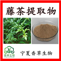 【杨梅素】杨梅素价格_杨梅素报价