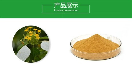 小茴香提取物 药食同源产品 小茴香粉
