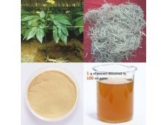人参提取物_商城_西安天瑞生物技术供应部会员商铺-中国贸易网-会员网站
