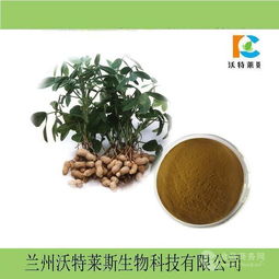 花生粉 花生提取物 批发价格价格,产品报价