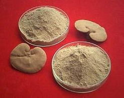 供应灵芝超细粉 野生平盖灵芝粉