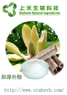 植物提取物出口产品top10