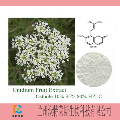 蛇床子提取物
