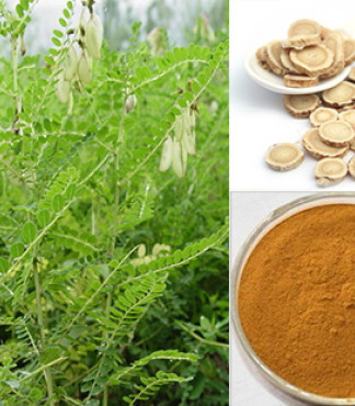【厂家直供黄芪提取物_增强免疫功能价格|图片】-