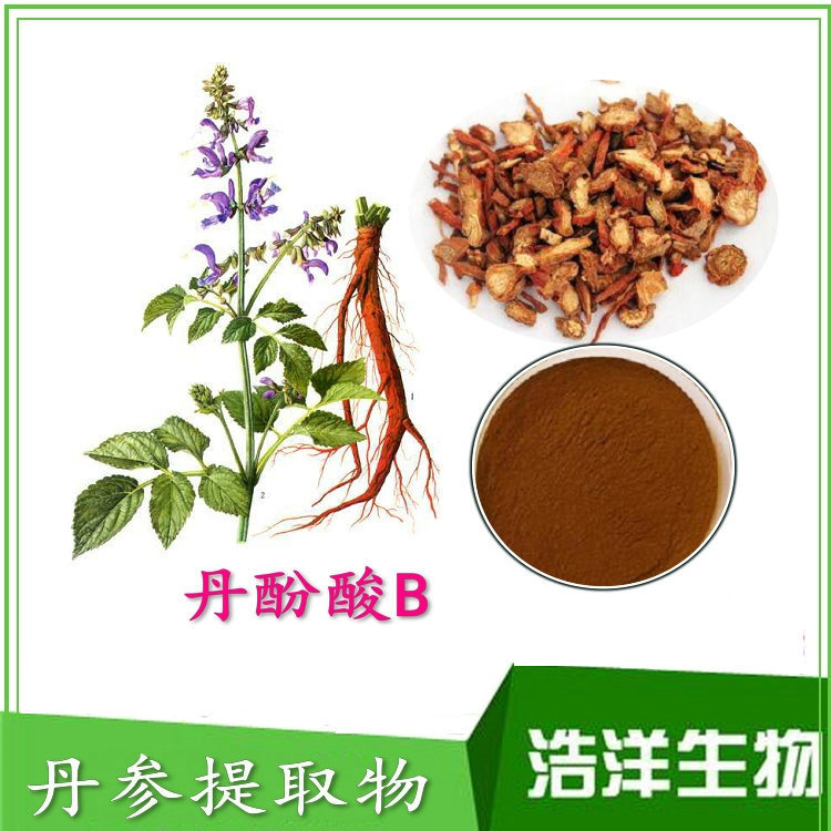 原儿茶醛20% 15% 10% 5% 1% 丹参提取物 丹参系列产品