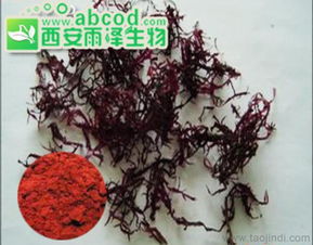 红藻提取物海藻提取物植物提取物生产厂家价格 厂家 图片