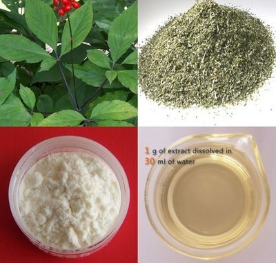 植物提取物-【高品质】厂家供应:人参皂甙80%-植物提取物尽在阿里巴巴-陕西慈缘.
