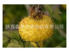 植物提取物-供应优质厂家【野刺梨提取物 】◢◣阿里诚信商家◢◣-植物提取物尽在阿.