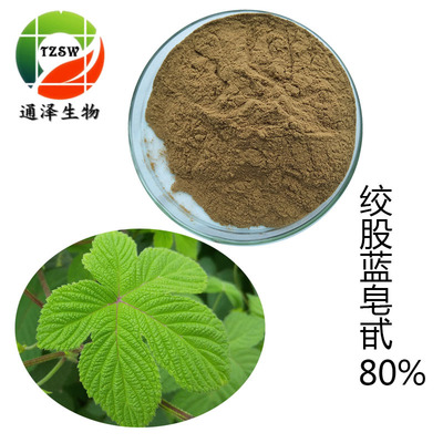 绞股蓝80% 绞股蓝提取物 直销