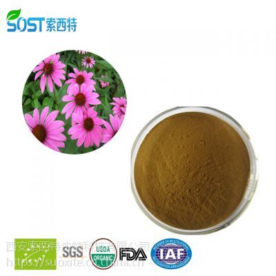 紫雏菊提取物 紫雏菊多酚 植物提取物价格 西安索西特生物规格多酚4%