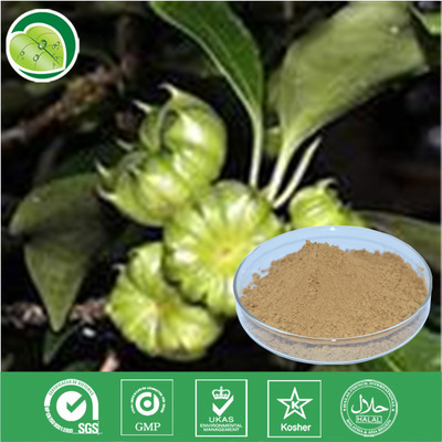 植物提取物-厂家供应半夏提取物20:1-植物提取物尽在阿里巴巴-西安源森生物科技.