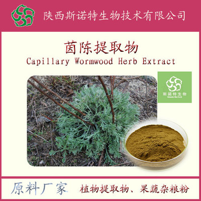 茵陈提取物