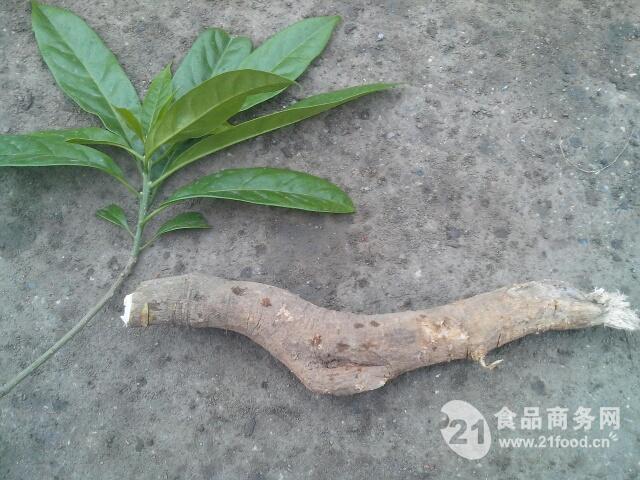 马比木提取物(25kg/桶)包邮_中国西安_植物提取物-