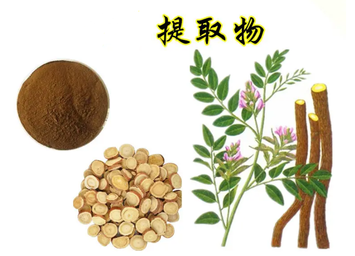 植物提取物出口国外详情用途介绍