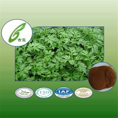 植物提取物-艾草植物提取物,符合保健食品和出口标准,可提供订制加工服务-植物提取.