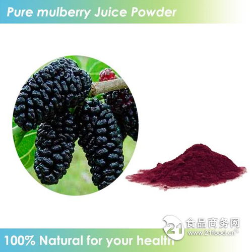 天然速溶饮料桑葚粉批发价格 西安 旭煌生物 植物提取物