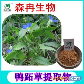 植物提取物