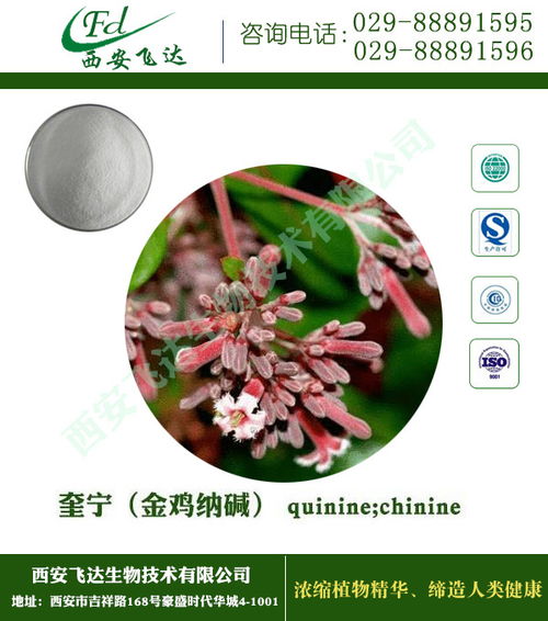 植物提取物 飞达生物 植物提取物厂家