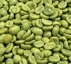 绿咖啡豆提取物绿原酸长沙上禾生物植物提取物系列