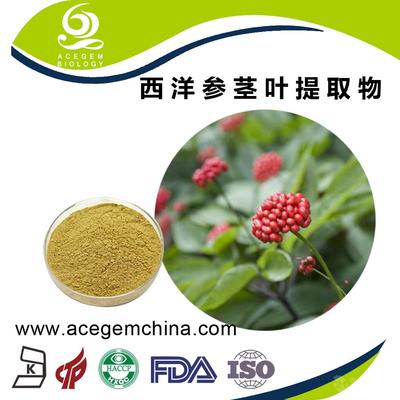 西洋参茎叶提取物 - 艾森格生物科技80% UV_中国芜湖_艾森格_植物提取物-