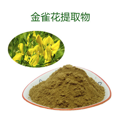 线叶金雀花粉 金雀花粉 金雀花原粉