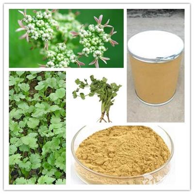 现货供应香菜提取物_西安_植物提取物-