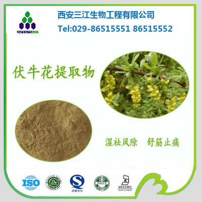 植物提取物-伏牛花提取物 4:1 天然提取 厂家直销 开票包邮 低价销售-植物提.