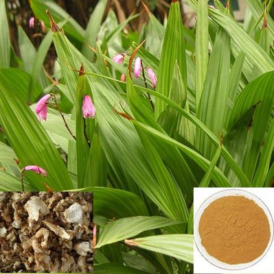 白芨提取物价格