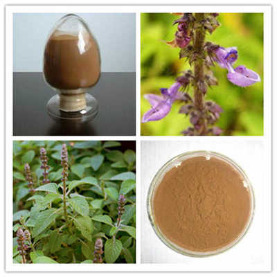 弗斯可林 20% 毛喉鞘蕊花提取物 主打产品