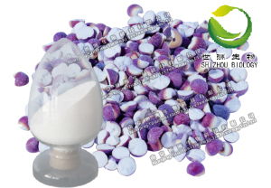 供应积雪草总苷,纯天然植物提取物,优质产品,医药原料