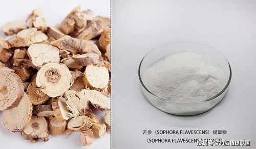 2020 最新植物提取物 化妆品原料 前沿热点点评