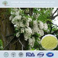 成都地区芦丁植物提取物批发价格分析与市场概况