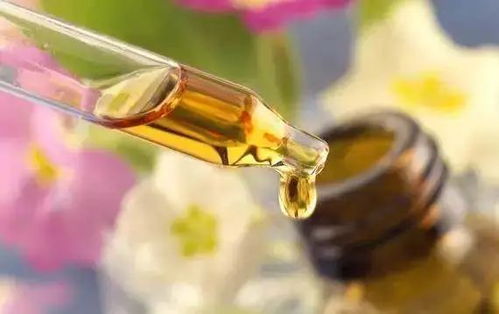 拒绝皮肤干燥飘雪，养生堂白桦树汁身体乳要你好看