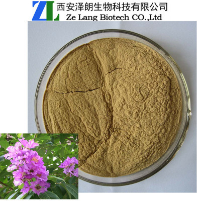 巴拿马提取物中的科罗索酸 医药级植物提取物的应用与优势