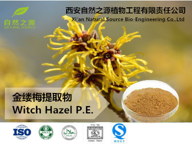 植物提取物的瑰宝 金缕梅提取物及其在化妆品中的应用