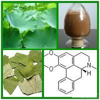荷叶提取物 源自中国甘肃兰州的天然植物精华