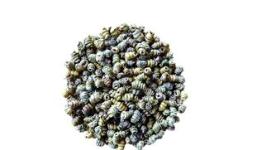 普洱植物提取物的特性与应用前景