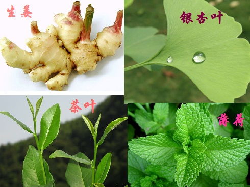 植物提取物引领绿色化妆品的发展