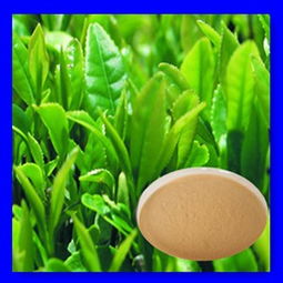 红茶茶多酚 价格、型号规格与植物提取物特性详解