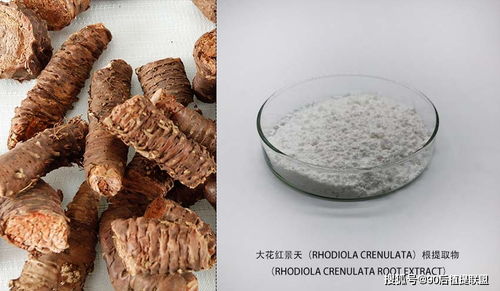 2020年化妆品原料热点点评 植物提取物的新浪潮与前沿应用