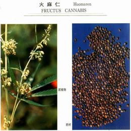 如何寻找可靠的植物提取物批发货源与供应商