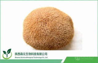 猴头菇多糖及提取物 工厂直供价格与市场前景解析