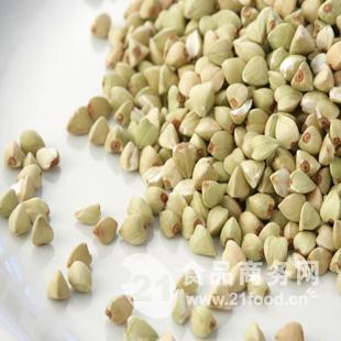 荞麦浓缩粉 源自中国西安的绿色植物提取物典范